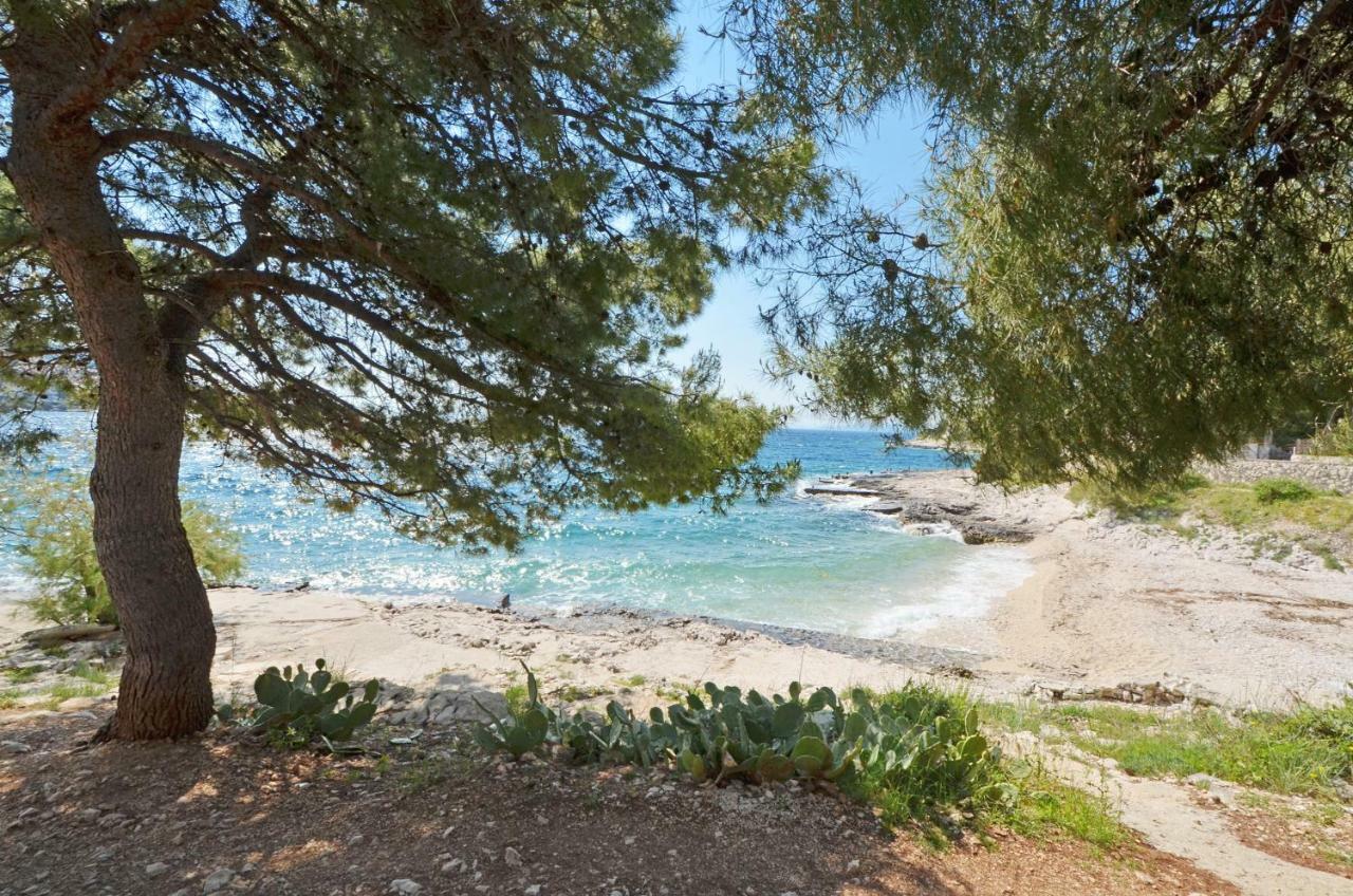 Apartment House Juretic - 50 M From The Beach Трогир Экстерьер фото